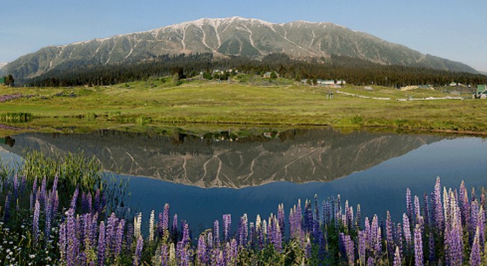 Vaccine certificate & Covid negative report mandatory for tourists visiting J&K’s Anantnag